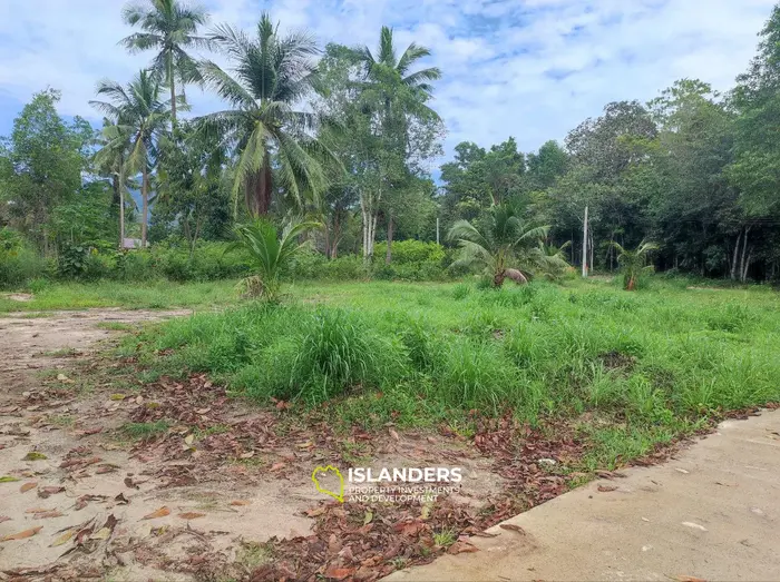 ที่ดินพิเศษขายในเกาะพะงันพร้อมวิวป่า