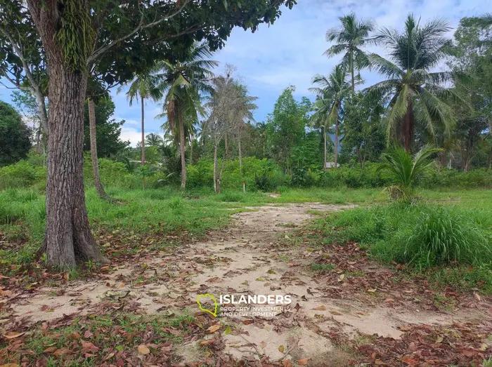 אדמה בלעדית למכירה בקו פנגאן עם נוף ג'ונגל