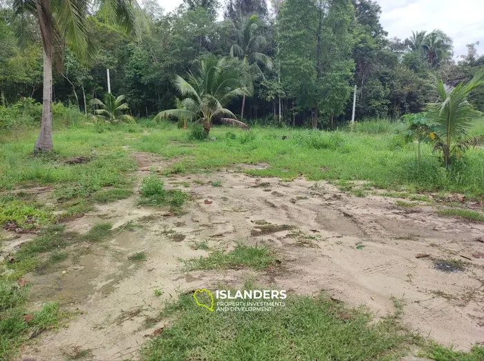 אדמה בלעדית למכירה בקו פנגאן עם נוף ג'ונגל