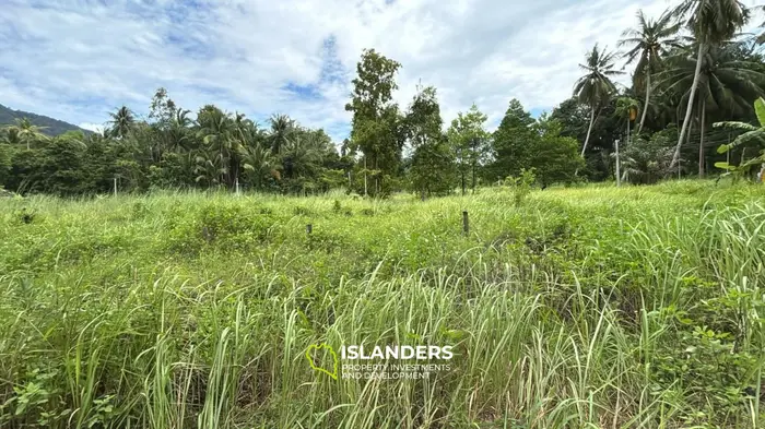 אדמה בלעדית למכירה בקו פנגאן עם נוף ג'ונגל