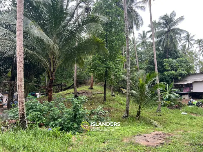 कोह फंगन में लीज के लिए शानदार जंगल दृश्य भूमि