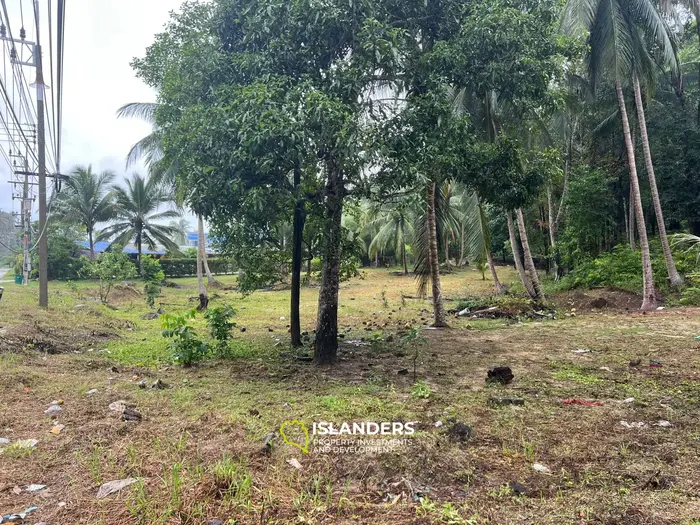 कोह फंगन में लीज के लिए शानदार जंगल दृश्य भूमि