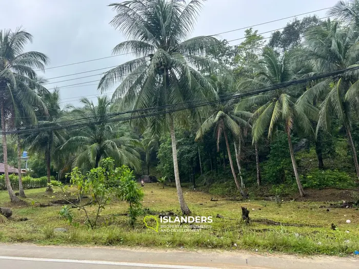 ที่ดินวิวป่าที่สวยงามให้เช่าในเกาะพะงัน