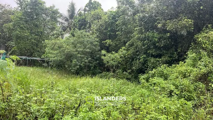 Exquisite Jungle View Land for Lease in Baan Tai, Koh Phangan