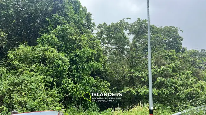 Exquisite Jungle View Land for Lease in Baan Tai, Koh Phangan