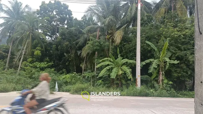 Exquisite Dschungelblick Grundstück zur Miete in Hinkong, Koh Phangan