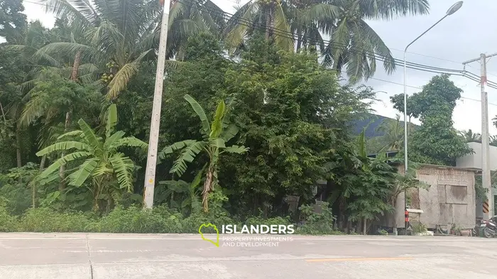 Exquisite Dschungelblick Grundstück zur Miete in Hinkong, Koh Phangan