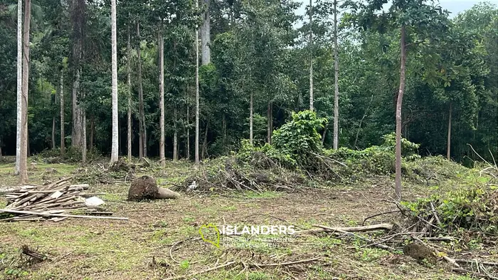 Exklusiver Landpacht in Hinkong, Koh Phangan