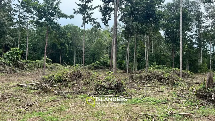 Exklusiver Landpacht in Hinkong, Koh Phangan