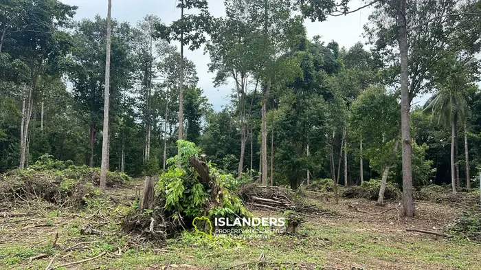 Exklusiver Landpacht in Hinkong, Koh Phangan