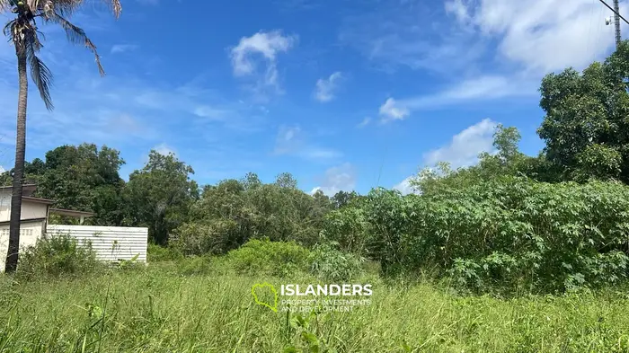 Exquisite Lease Opportunity: Serene Jungle Retreat in Koh Phangan