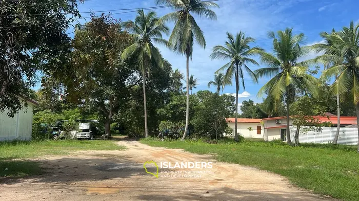 Exquisite Lease Opportunity: Serene Jungle Retreat in Koh Phangan