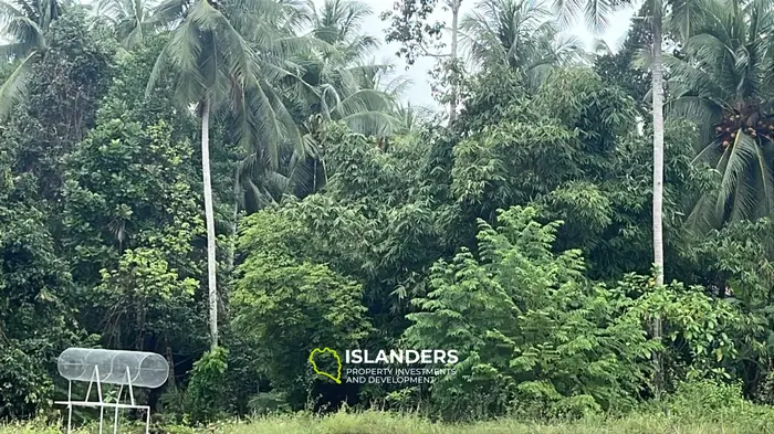 Exquisite Jungle View Land for Lease in Koh Phangan