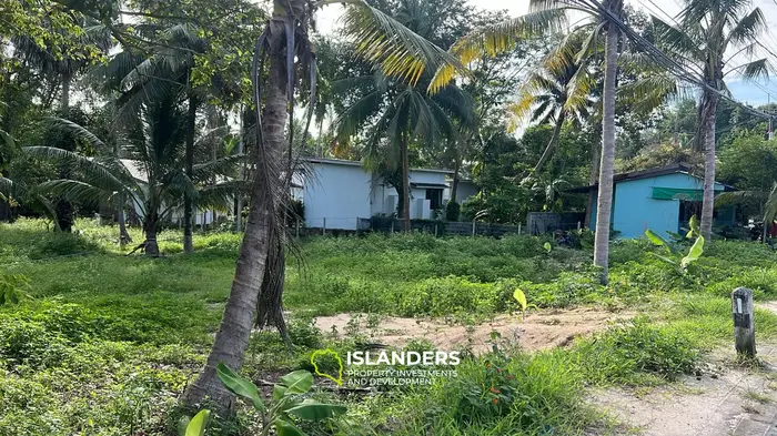 Exclusive Lease Opportunity: Lush Land in Koh Phangan's Hinkong