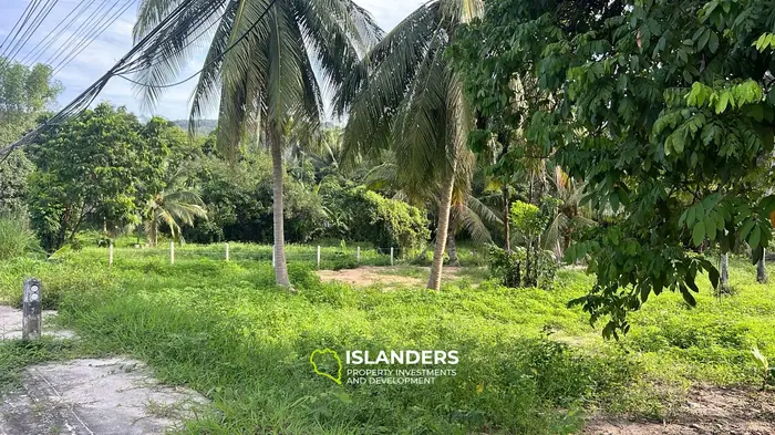 Exclusive Lease Opportunity: Lush Land in Koh Phangan's Hinkong
