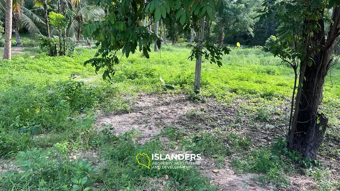Exclusive Lease Opportunity: Lush Land in Koh Phangan's Hinkong