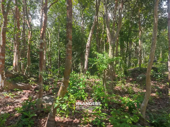 Seaview in A private Quiet place surrounded by nature in Haad Yao