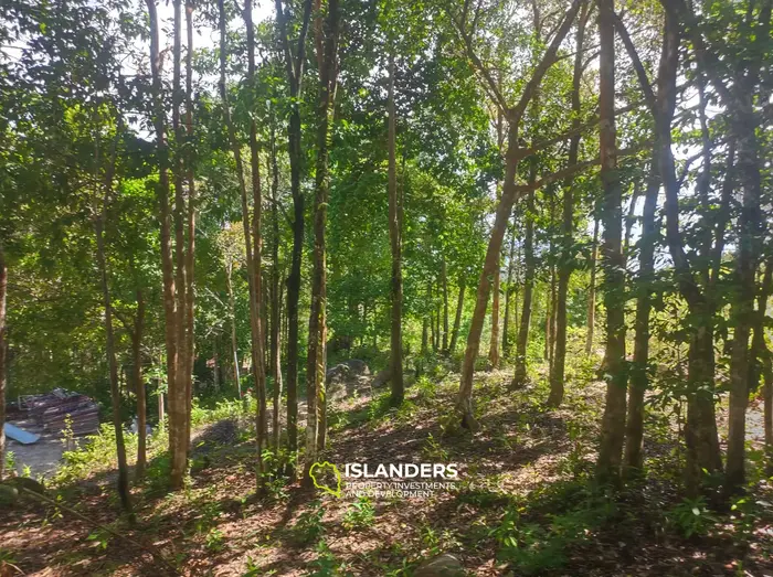 Seaview in A private Quiet place surrounded by nature in Haad Yao