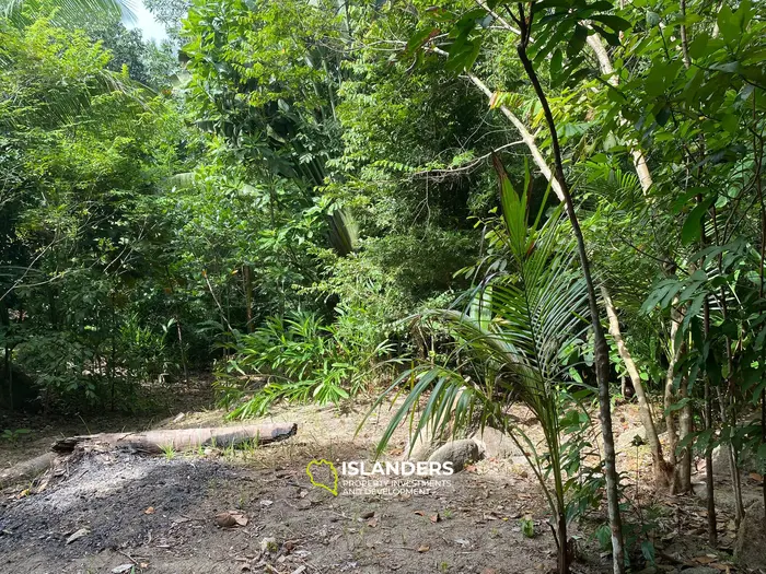 Отличная возможность – участок 2,492 кв. м в Чалоклуме