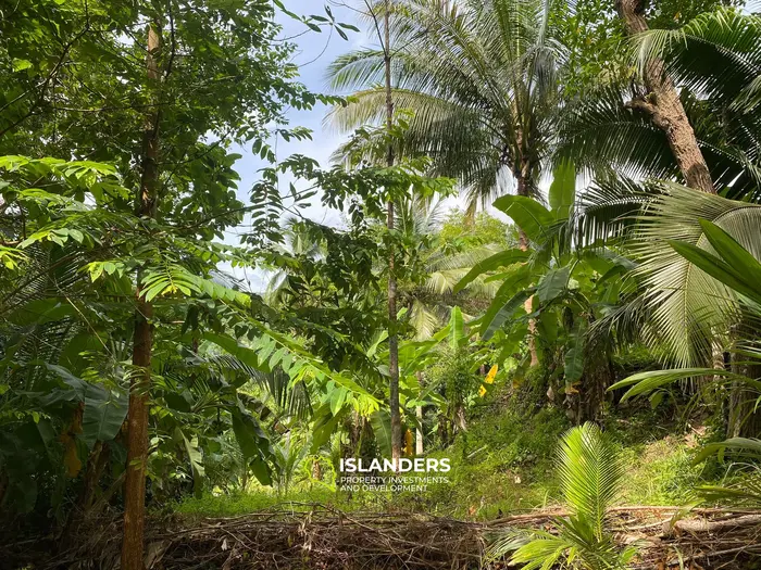 Отличная возможность – участок 2,492 кв. м в Чалоклуме