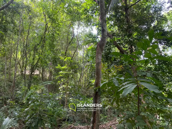 Отличная возможность – участок 2,492 кв. м в Чалоклуме