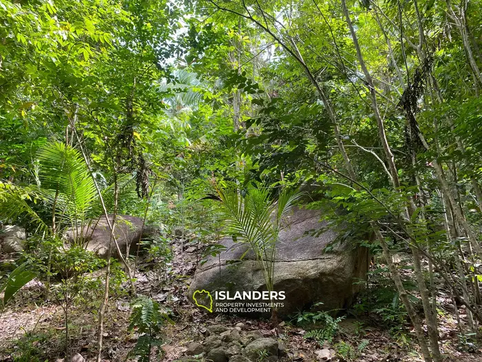 Отличная возможность – участок 2,492 кв. м в Чалоклуме