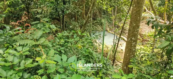 Отличная возможность – участок 2,492 кв. м в Чалоклуме