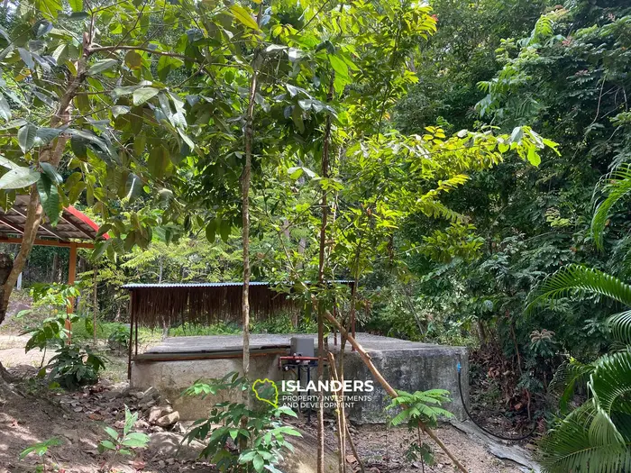 Отличная возможность – участок 2,492 кв. м в Чалоклуме