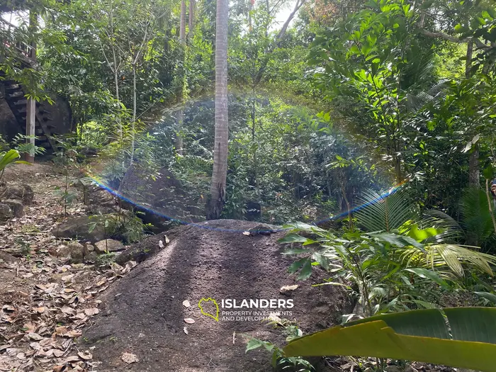 Отличная возможность – участок 2,492 кв. м в Чалоклуме