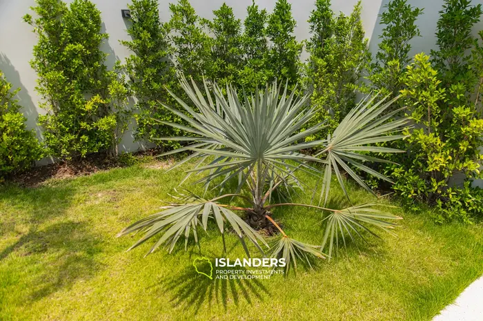 Villa de 3 habitaciones con piscina en una zona muy solicitada (Lamai)