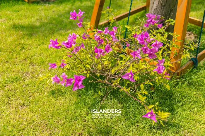 Villa de 3 habitaciones con piscina en una zona muy solicitada (Lamai)