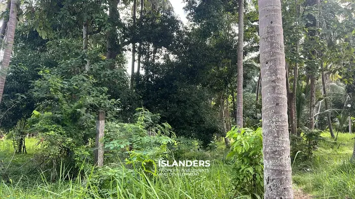 נכס עם נוף הרים מדהים להשכרה בבאן טאי, קו פנגאן