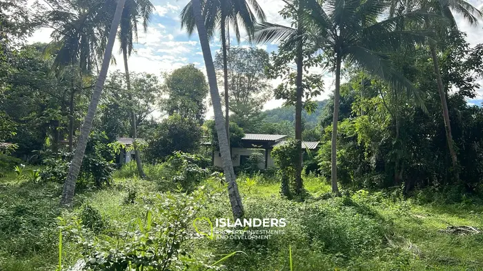 Stunning Mountain View Land for Lease in Baan Tai, Koh Phangan