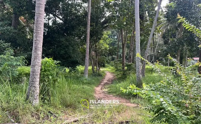 נכס עם נוף הרים מדהים להשכרה בבאן טאי, קו פנגאן