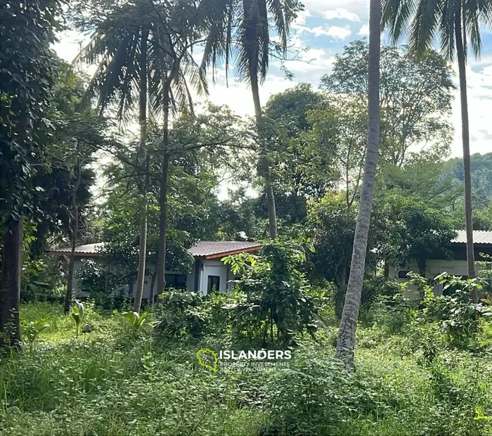 נכס עם נוף הרים מדהים להשכרה בבאן טאי, קו פנגאן