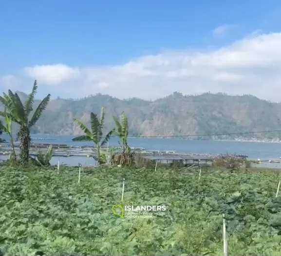 Проект озера Кинтамани и спа с реализацией в 15 месяцев