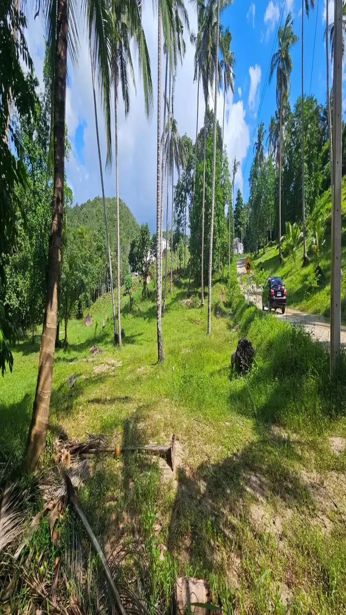 Terrain à vendre à Srithanu, à côté de la rivière, endroit très calme !