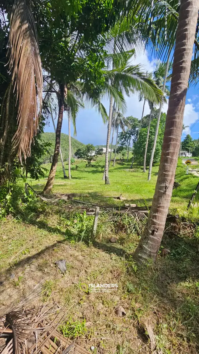 Terrain à vendre à Srithanu, à côté de la rivière, endroit très calme !