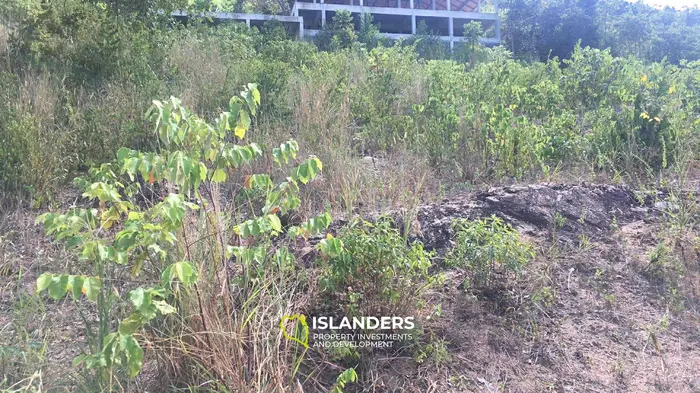 Sea view land FOR LEASE