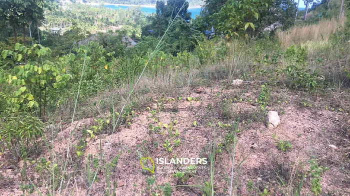 Sea view land FOR LEASE