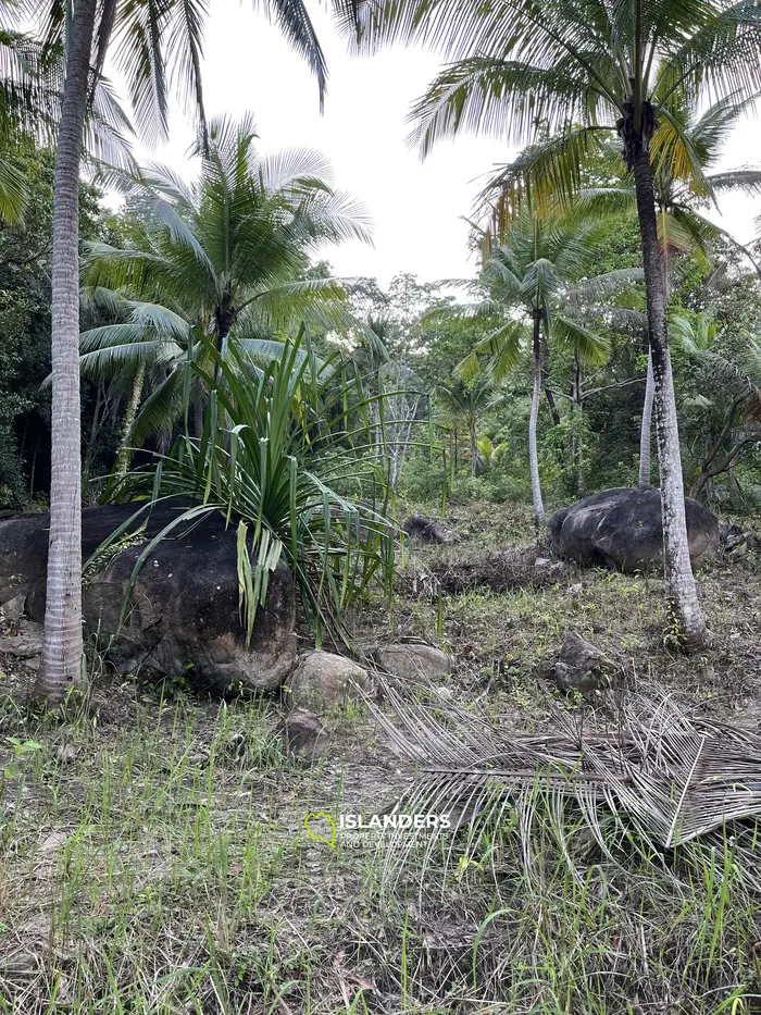 山の景色が見える1ライの土地