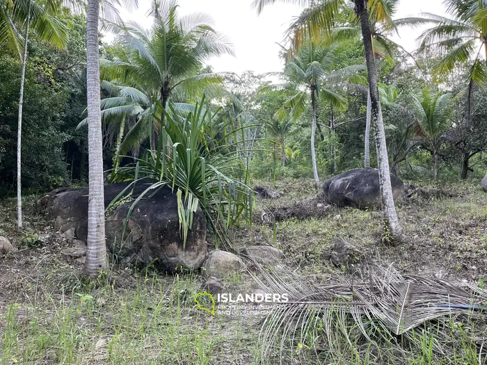 山の景色が見える1ライの土地