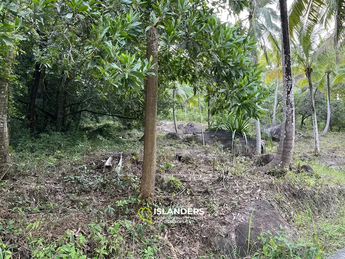 山の景色が見える1ライの土地