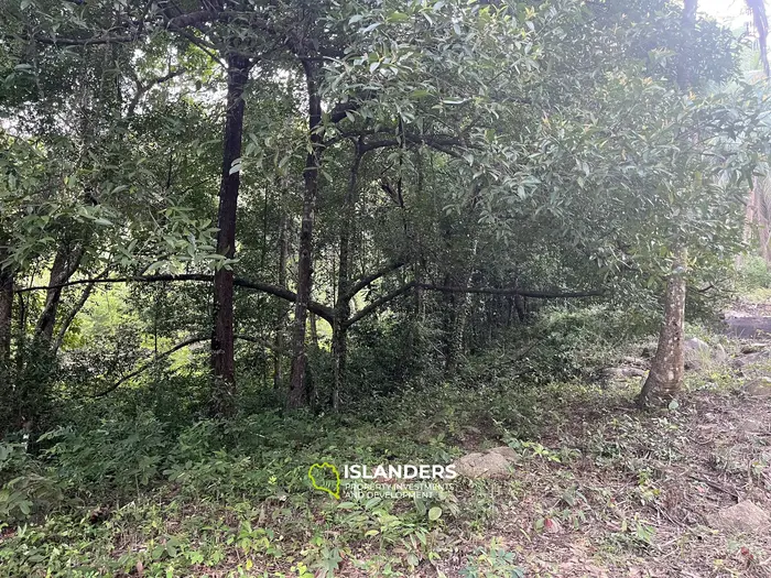 山の景色が見える1ライの土地