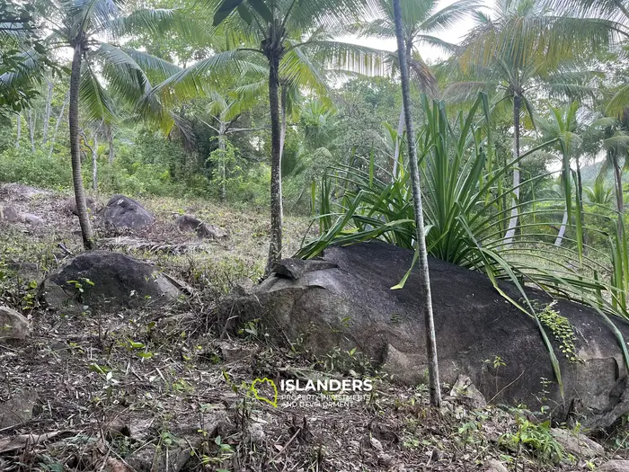 山の景色が見える1ライの土地