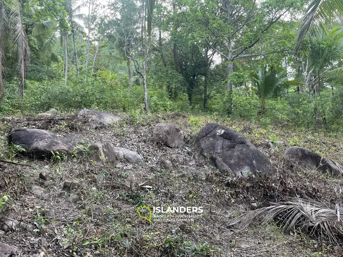 山の景色が見える1ライの土地