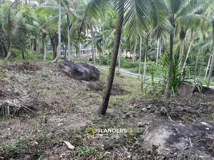 1 Rai Land Plot with Mountain View