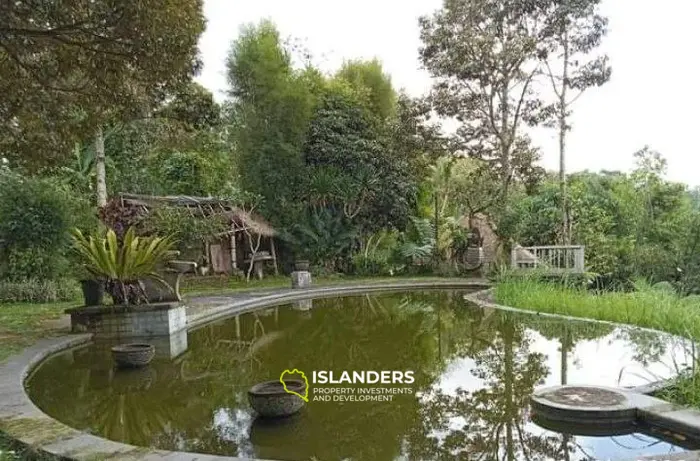 Land with the view for retreat projects in Sebatu area