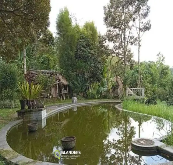 Land with the view for retreat projects in Sebatu area