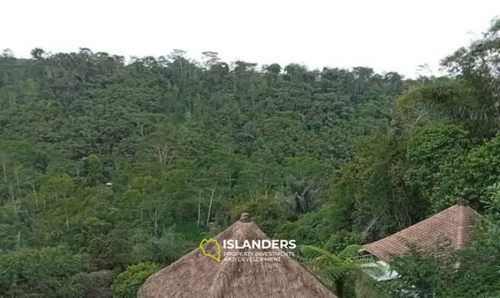 Land with the view for retreat projects in Sebatu area